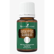 Eucalyptus Globulus Essential Oil