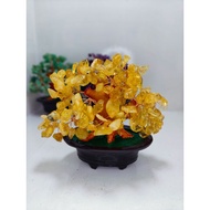Crystal citrine tree lucky tree
