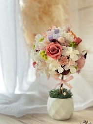 日本永生玫瑰花_許願擴香花球樹