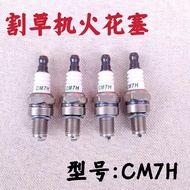Four-Stroke Spark Plug CM7H Spark Plug [FYB]