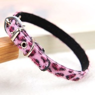 Amigo leopard dog neck belt.