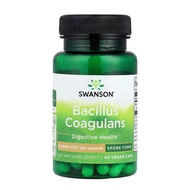 Bacillus Coagulans 6 Billion CFU