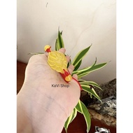 Sour Fox Bracelet with Agate stone for Earth element - KaVi Shop