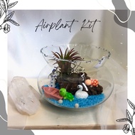 DIY Airplant Terrarium Kit