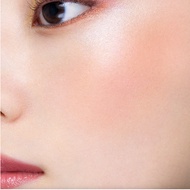 POLA 3D Oasis Blush 9g 3 Colors Blush &highlight