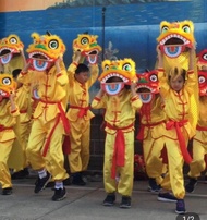 Children Dance Lion Head Lion Dance Lion Dance Kids Lion Dance Performance Clothes Dance Lions Head