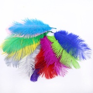 Special Offer DIY Feather Accessories Stage Feather Props Hat Feather Accessories Imported Ostrich F