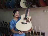 PROMO- GITAR TAYLOR AKUSTIK ELWKTRIK NATURAL