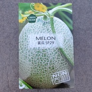 NON GMO Rock Melon Seeds biji benih Green Home 1 pack rockmelon SP29