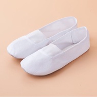 Ballet Dance Shoes - ballet Dance Shoes - Performance ballet Flats