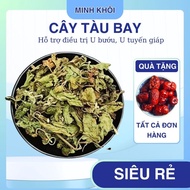 Dried airplane tree (orchid tree) used for tumors and goiter