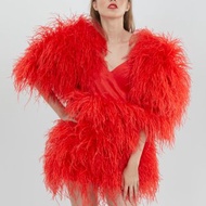 專為女性設計的紅色V領蓬袖羽毛晚禮服