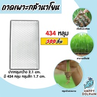 ถาดเพาะกล้านาโยน 434 หลุม แพ็ค 500 ชิ้น ถาดเพาะกล้า ถาดเพาะนาโยน เพาะกล้านาโยน กล้านาโยน ถาดนาโยน ถา