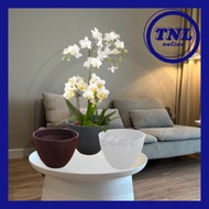 TNL FELTON 2477 15 CM ROUND PLASTIC FLOWER POT PASU BUNGA PLASTIK 圆形塑胶花盆