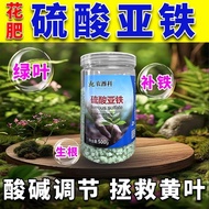 Fertilizer Sulfate Fertilizer Water-Soluble Fertilizer Green Leaf Gardenia Jasmine Tea Flower Azalea