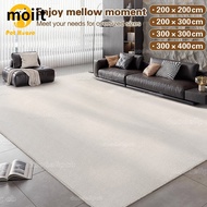 High Quality 300/400CM Large Size Carpet, Private VIP Custom Size, Living Room Carpet, Bedroom Carpe