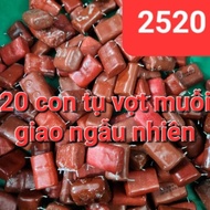 20 mosquito racket capacitors 223J 153J 173J 333J .2000v removed from mosquito rackets