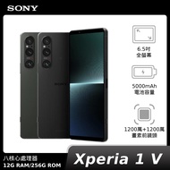 Sony Xperia 1 V 12G 256G (XQ-DQ72)【贈30W快充】