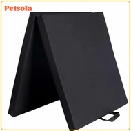 Exercise Sponge Pad Thick Cushioning Foldable Mat Supportive Gymnastics Mat Portable for Home Fitnes
