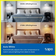 ❡ ◕ ✲ TP-Link Tapo L535E Smart WiFi Light Bulb, Multicolor