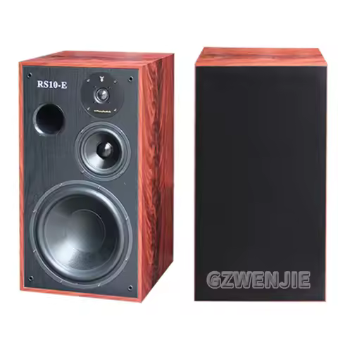 250W 8Ohm High School Low 10 Inch Speaker Bass Silk Film Tweeter RS10-E Hifi Bookshelf Speaker Passi