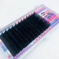 Lash Ellipse Eyelash Extension