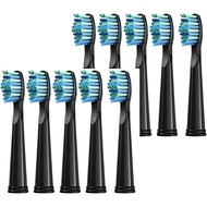 Replacement Toothbrush Head, Compatible with Seago, SG-575/507B/508/551/958/908/909/917/610/659/719/