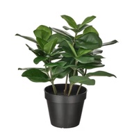 804.933.43 FEJKA Artificial potted plant, indoor outdoor/, 12 cm