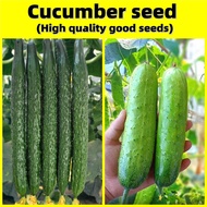 Cucumber Seeds - High Yielding Cucumber Seed Heirloom Beit Alpha Vegetable Seeds Fruit Seeds Easy To Grow In Malaysia