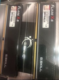 芝奇 DDR5 5600 64g(32g*2)  Flare X5