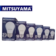 LED Bulb PREMIER BULB QUANTUM 30WATT 40 W/ 12 W/ 15 W/ 23 WATT BULB QUANTUM Mitsuyama