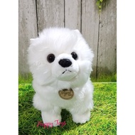 Boneka Anjing Mini Pom Putih (Terlaris)