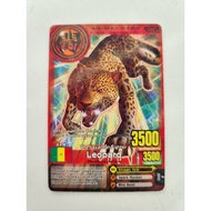 ANIMAL KAISER ~ LEOPARD (Animal Card)