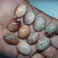 LOTUS AGATE STONE Crystal Agate Stone