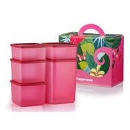 Tupperware-So Fresh Set