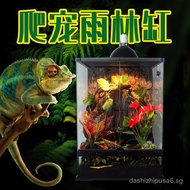 Aquatic and Terrestrial Waterfall Rainforest Tank Ecological Rainforest Breeding Box Crocodile Frog 