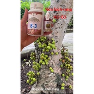 Super fruit booster for figs and fruit trees wholesale - retail inbox me