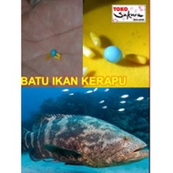 GELIGA IKAN KERAPU BIRU