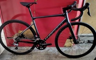 Road Bike Sunpeed Astro 2024