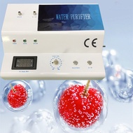 Portable Desktop Home Use O3 Generator Ozone Water Purifier Ozone Water Purify Equipment