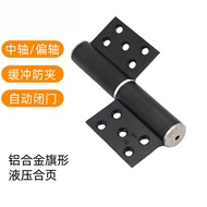 Invisible Door Dedicated Hinge Hydraulic Hinge Hydraulic Cushioning Spring Rebound Hinge Automatic D
