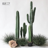 Simulation cactus Artificial Green Plant Sand Raw Mexican Fake cactus Potted Plant cactus