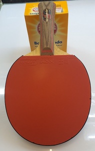 STIGA CR Master 乒乓球拍