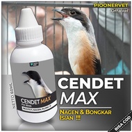 Terbaru Vitamin Burung Cendet CENDET MAX Obat Vitamin Penggacor Burung