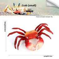 Kids Artificial Animal Toy Model Crab Spider Crab King Crab Bread Steamed Bread Crab Portunid Hermit