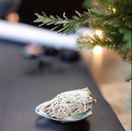 白色鼠尾草 white sage