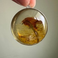 黃水晶共生紅黃膠花小樹 異相水晶銀吊墜
