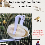 Squid cysts with standing perch for birds