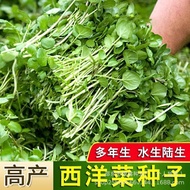 Western Vegetable Seeds Douban Vegetable Seeds Chinese Herbal Seeds Original Four Seasons Vegetable 
