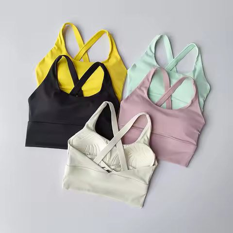 All-in-one Sports Bra Collection Breast High-intensity Professional Shock-proof Huddle Running Bra Y